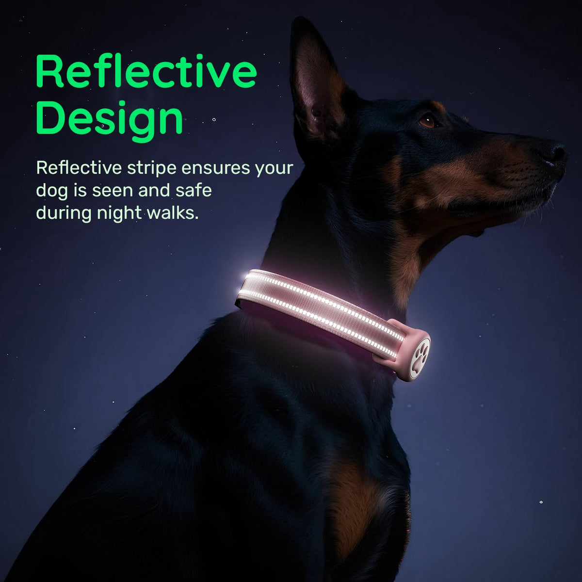 Pink IP68 Waterproof Dog Collar G5101