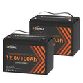 12V 100Ah LiFePO4 Battery 2Pack D369