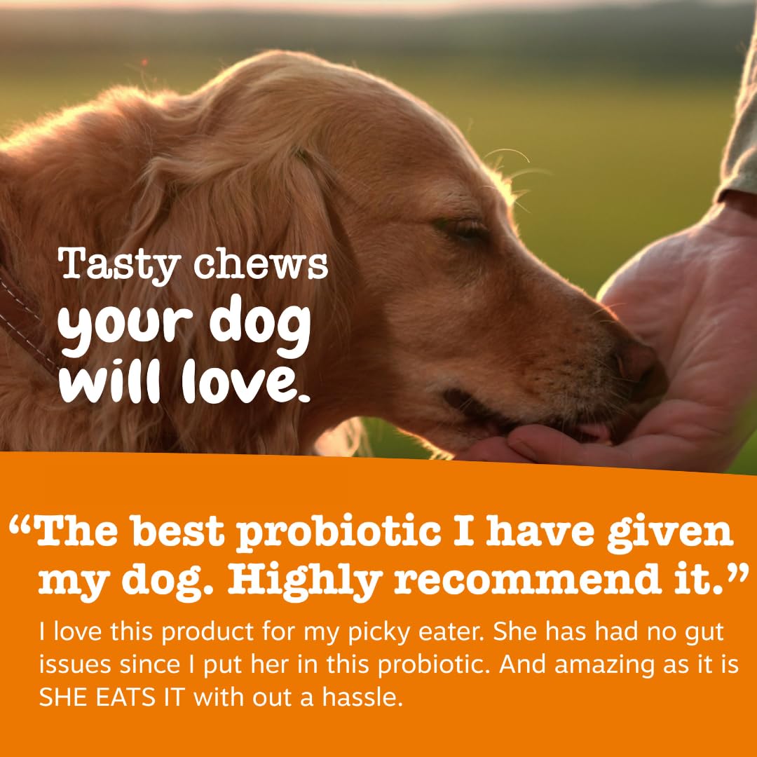Probiotics for Dogs Chicken 90ct Z51461