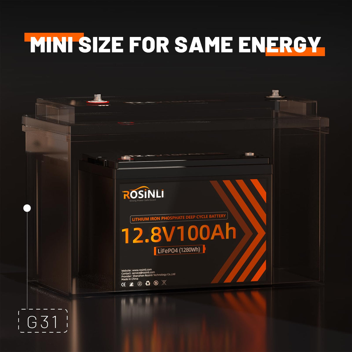 12V 100Ah LiFePO4 Battery 2Pack D369