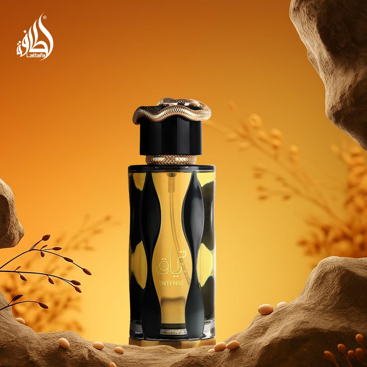 Eau de Parfum Spray 3.4 Ounce / 100 ml P8241