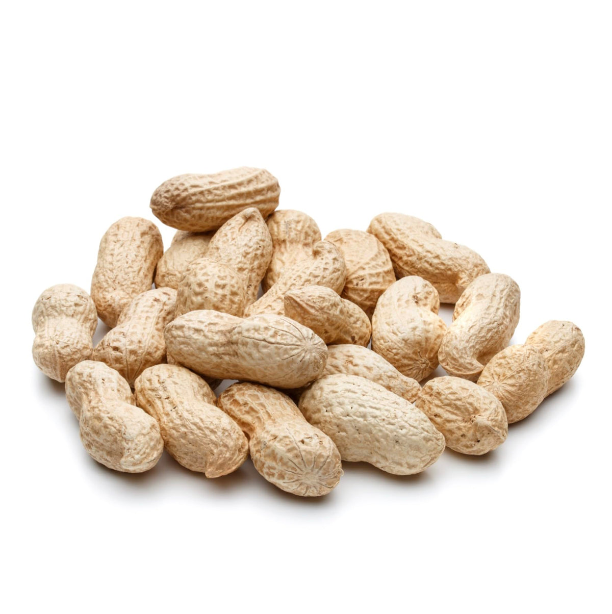 Raw Peanuts 50 LBS J772898