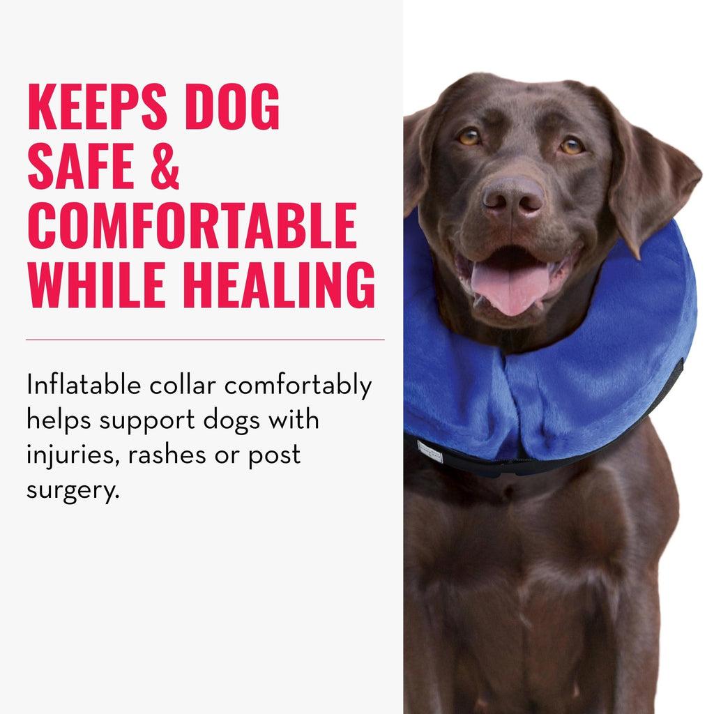 X-Large Dog Collar U99181