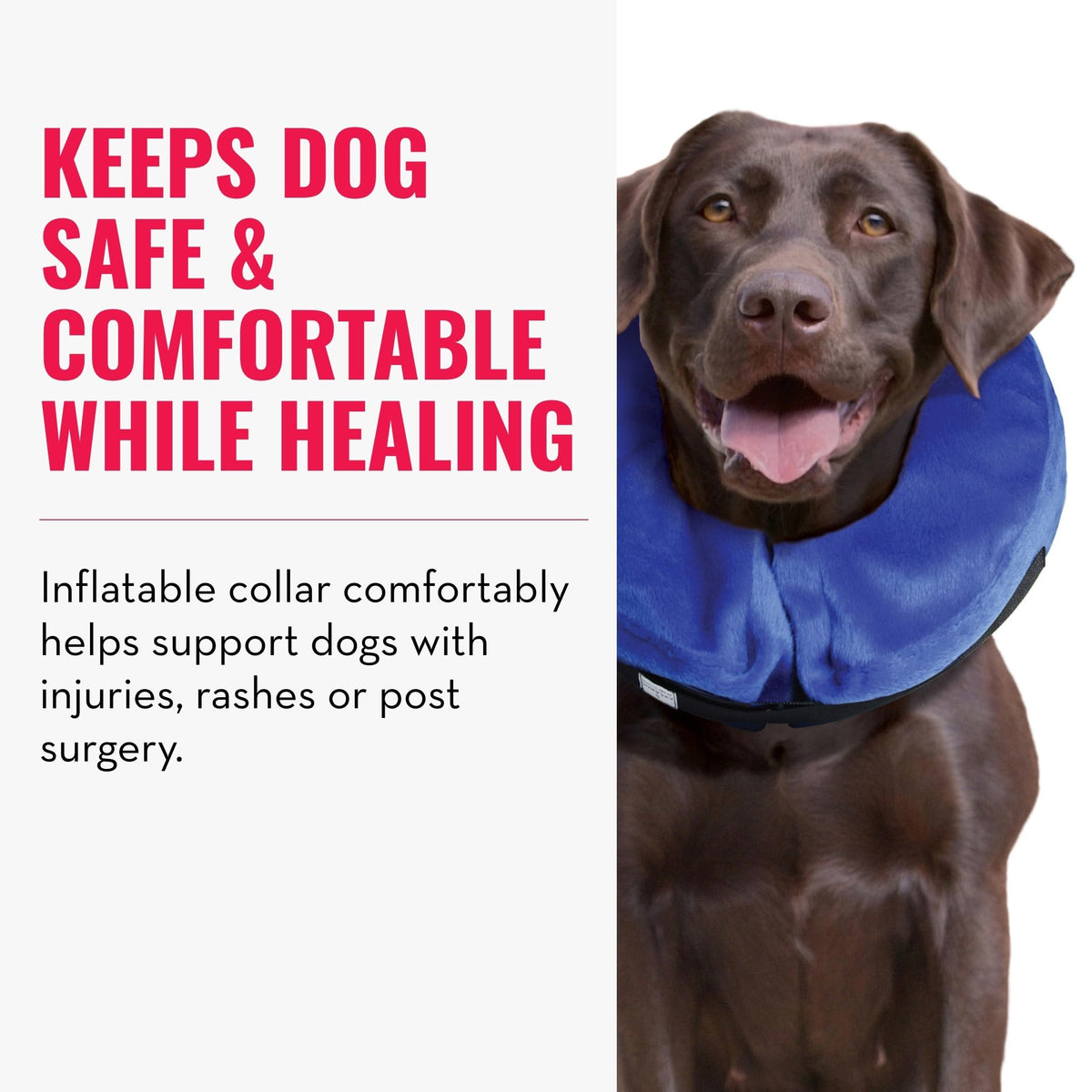 X-Large Dog Collar U99181