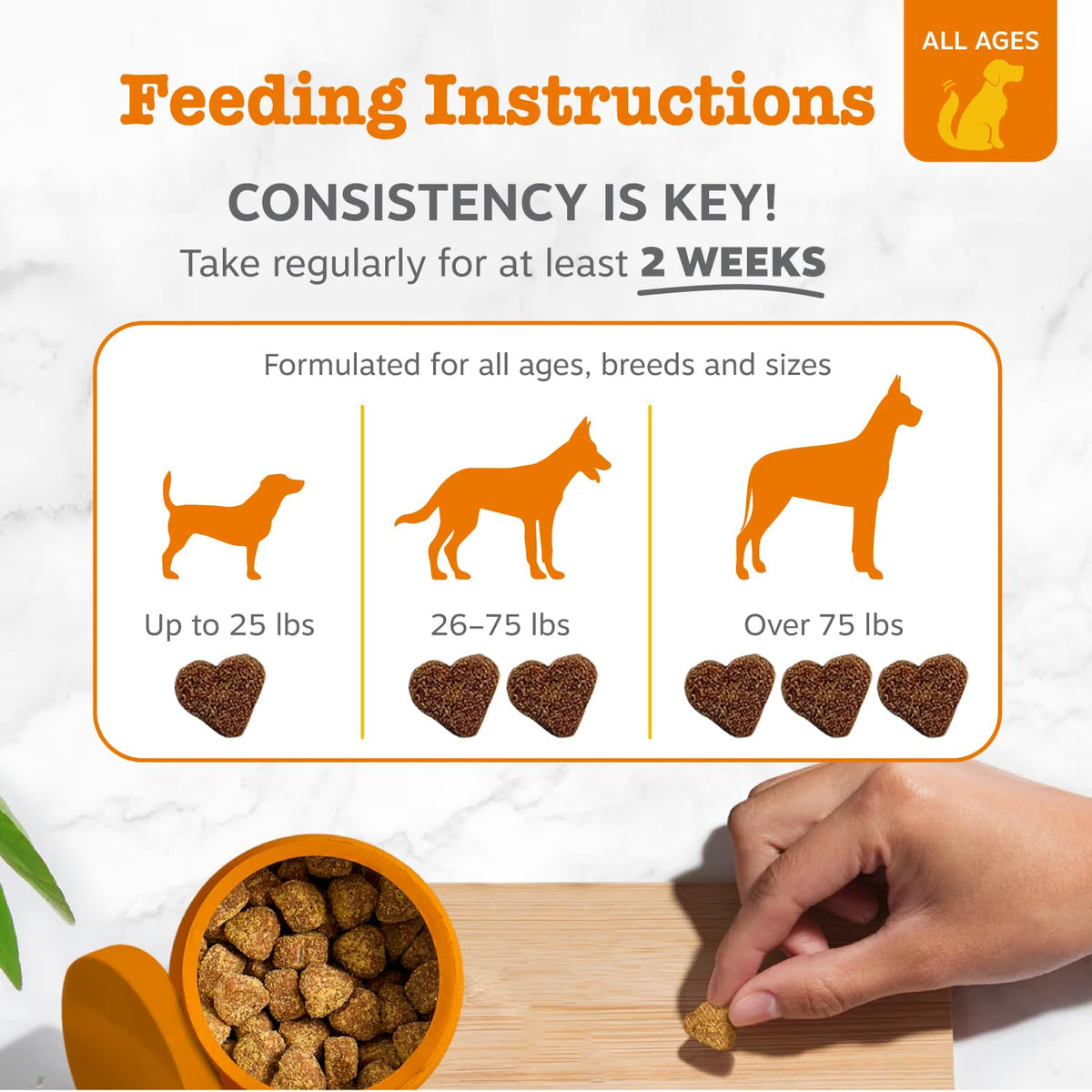 Probiotics for Dogs Chicken 90ct Z51461