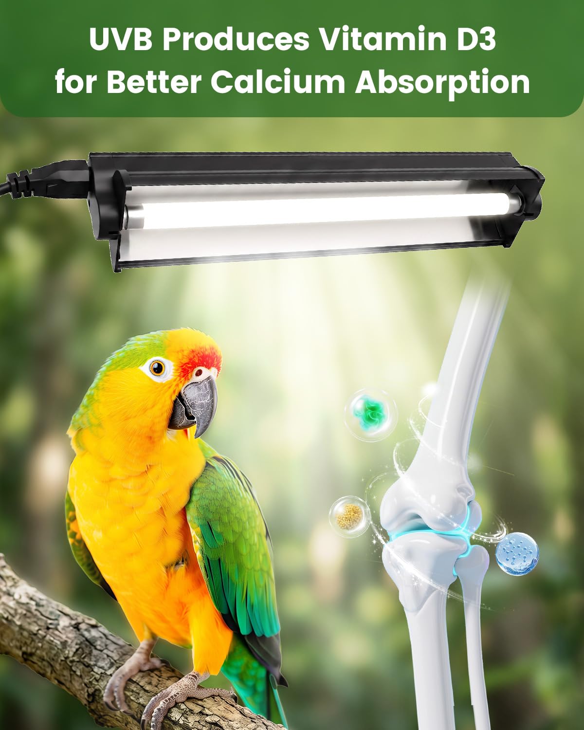 8W Bird Lamp F4671