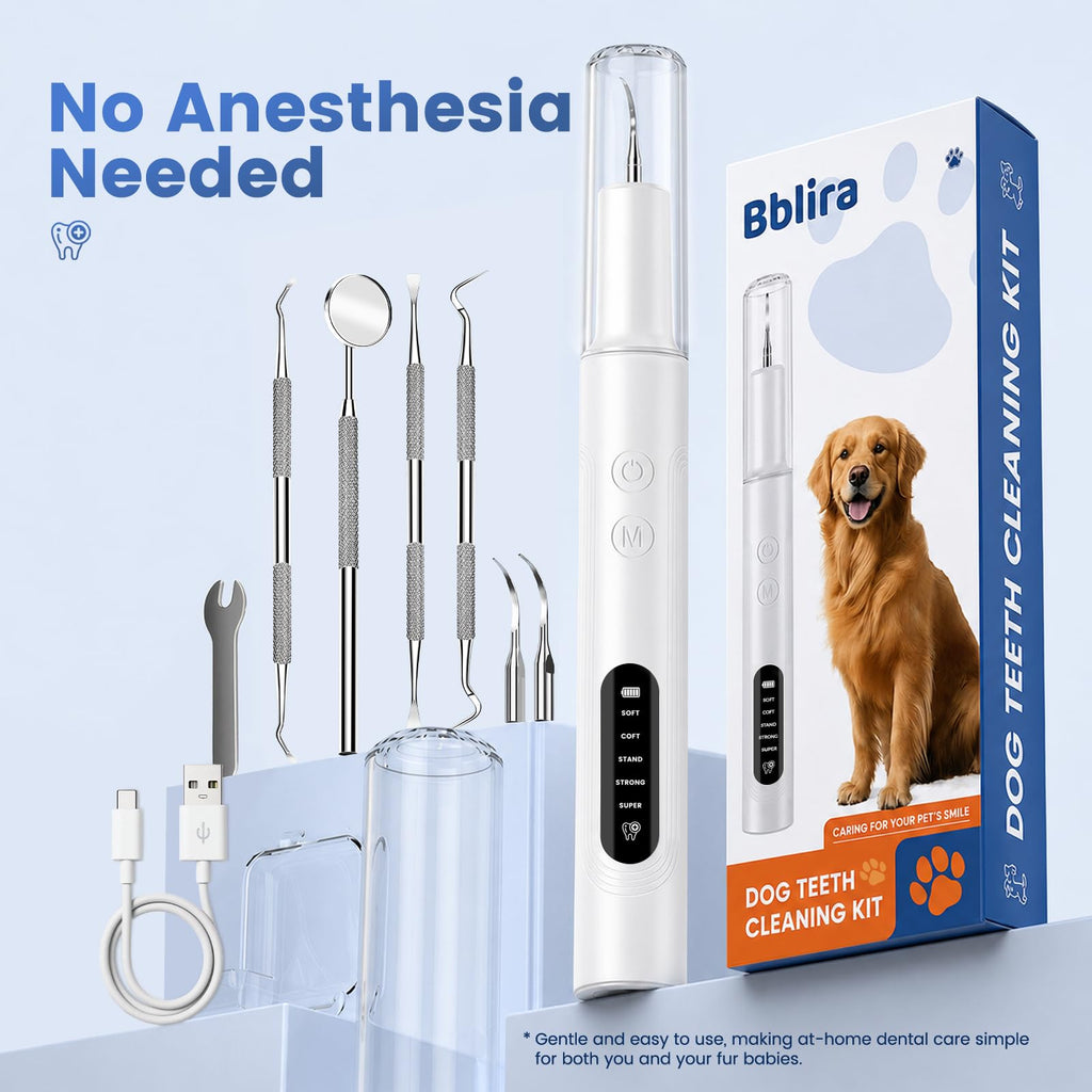 Dog Ultrasonic Tooth Cleaner with LED Light N18537
