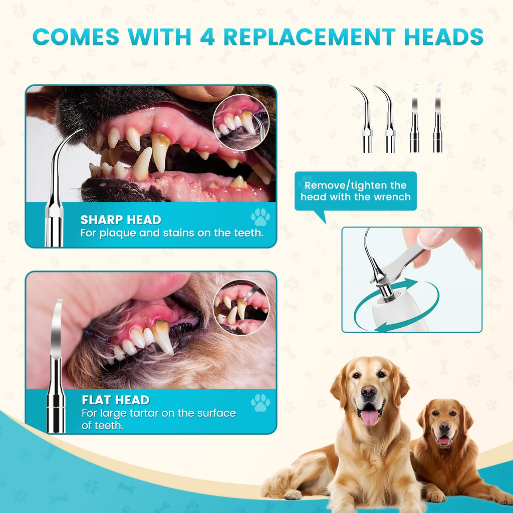 Dog Ultrasonic Tooth Cleaner with LED Light N18537