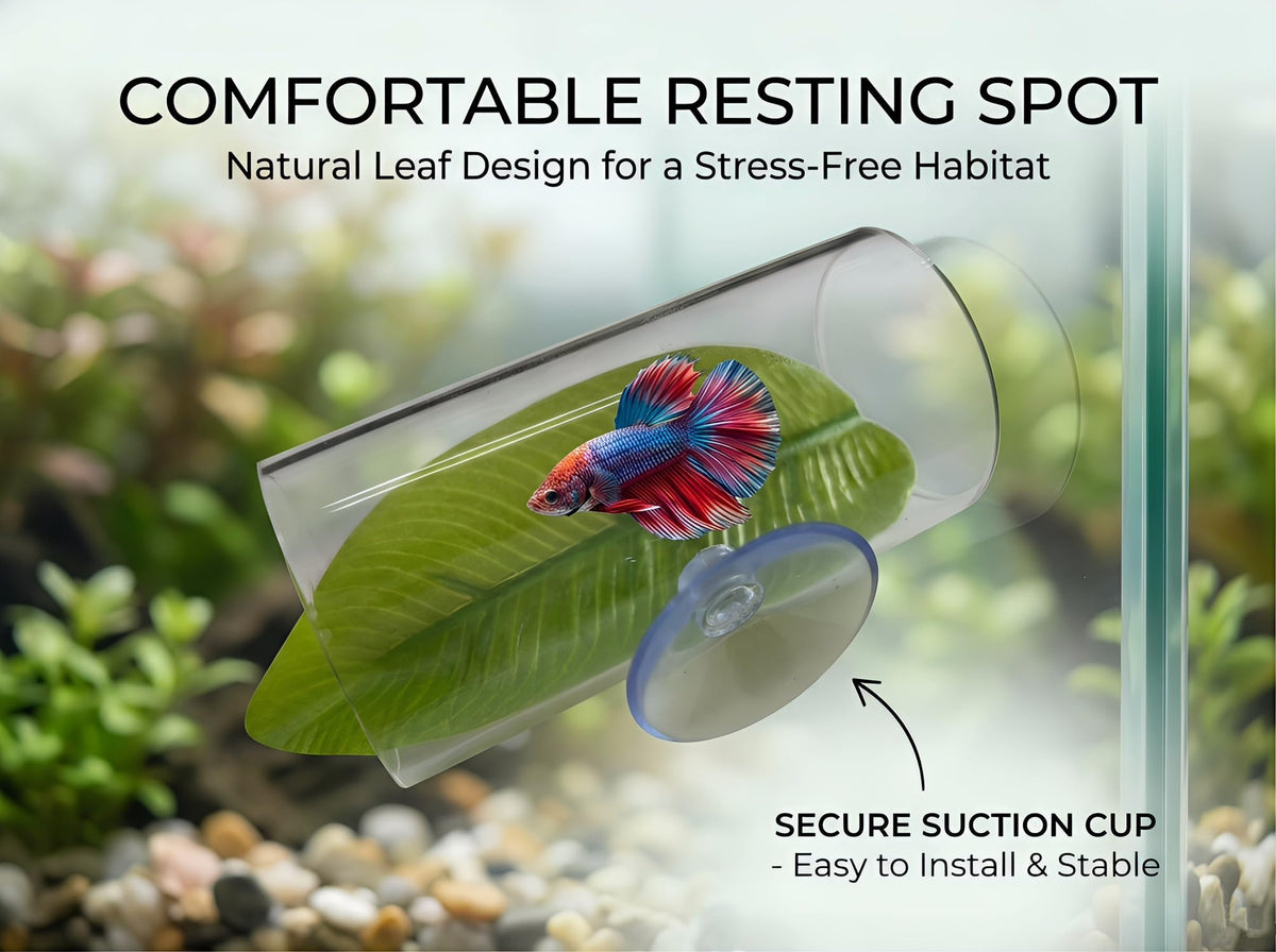 Betta Fish Hammock Tunnel Leaf Pad Resting Bed Y876746