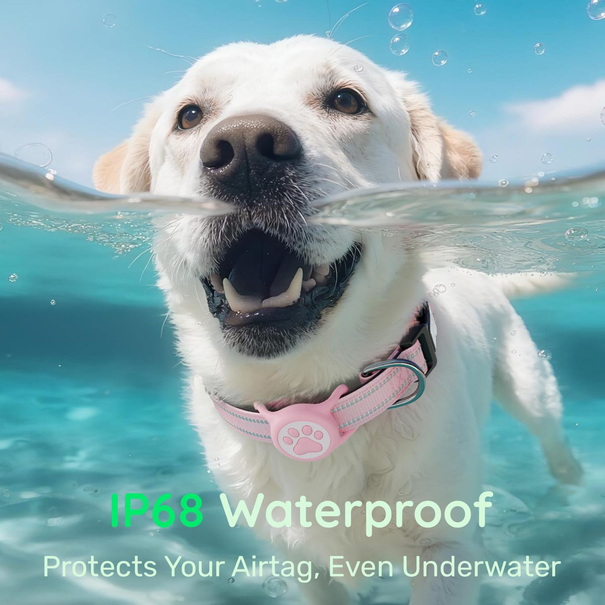 Pink IP68 Waterproof Dog Collar G5101
