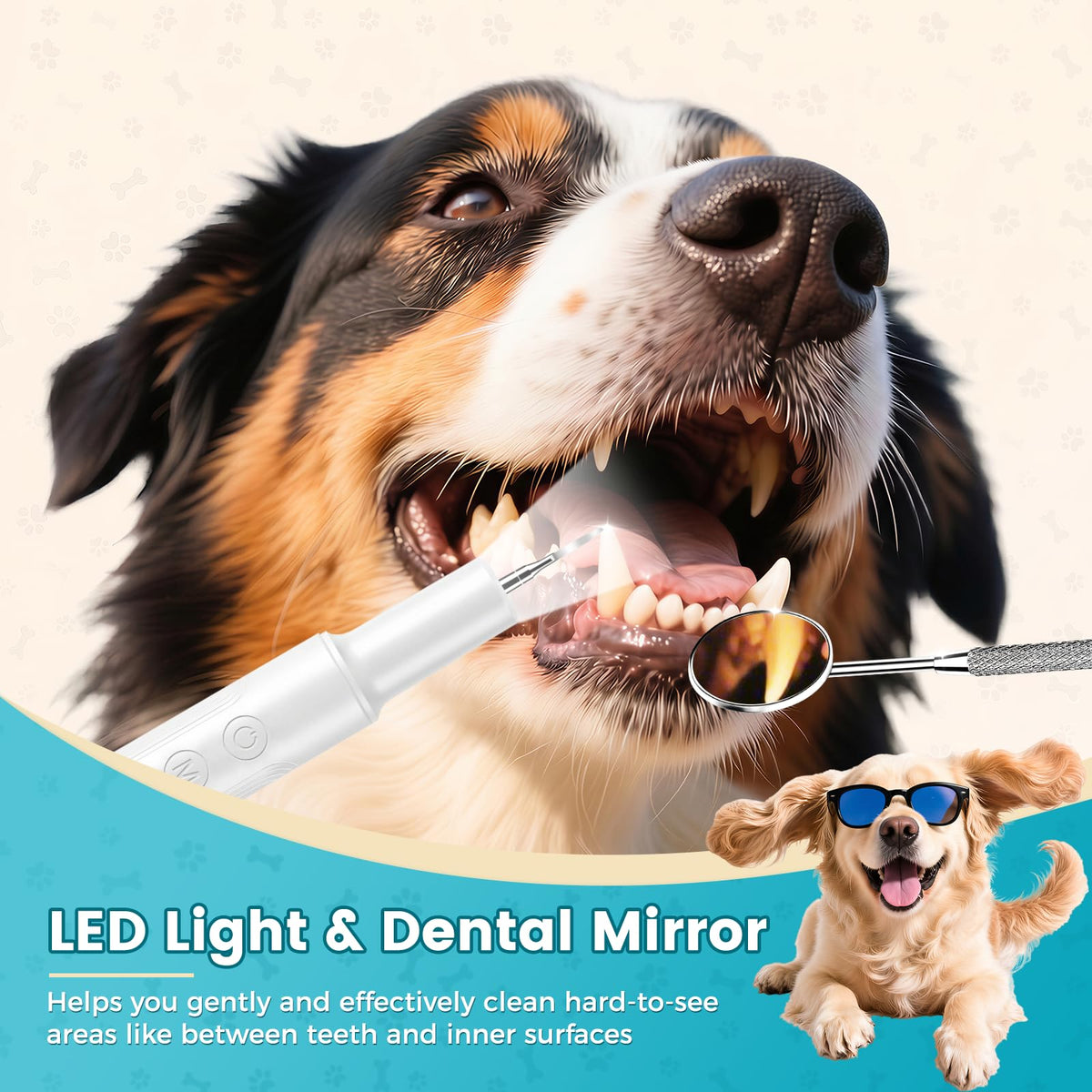 Dog Ultrasonic Tooth Cleaner with LED Light N18537