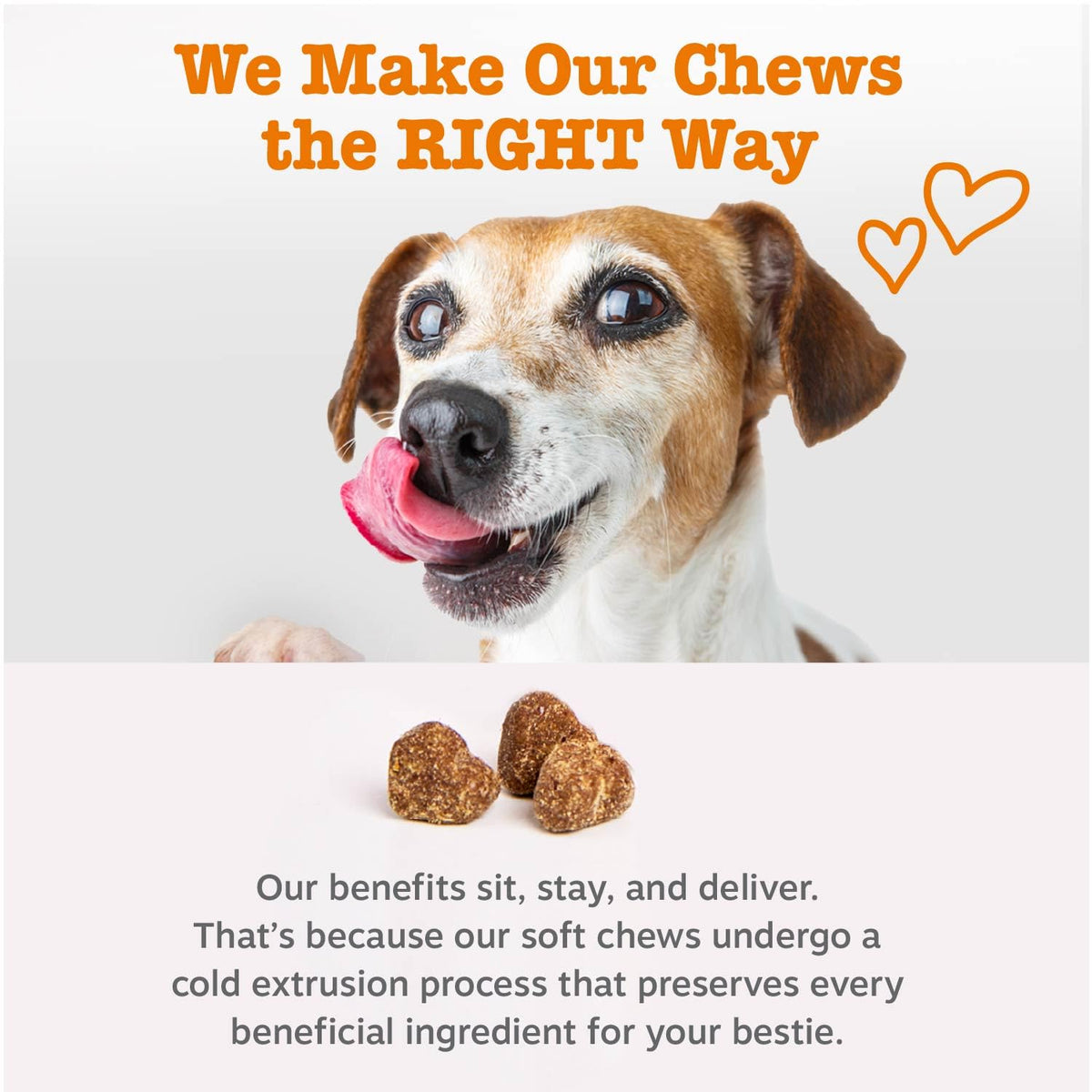 Probiotics for Dogs Chicken 90ct Z51461