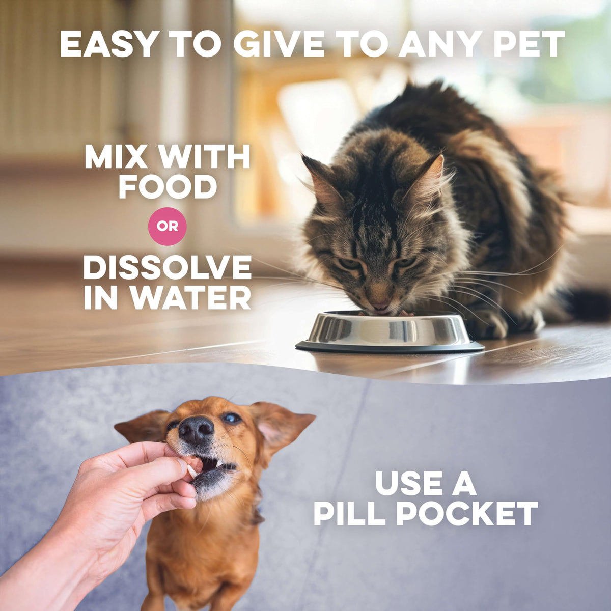 Weight Loss for Dogs 400 Pills J48388