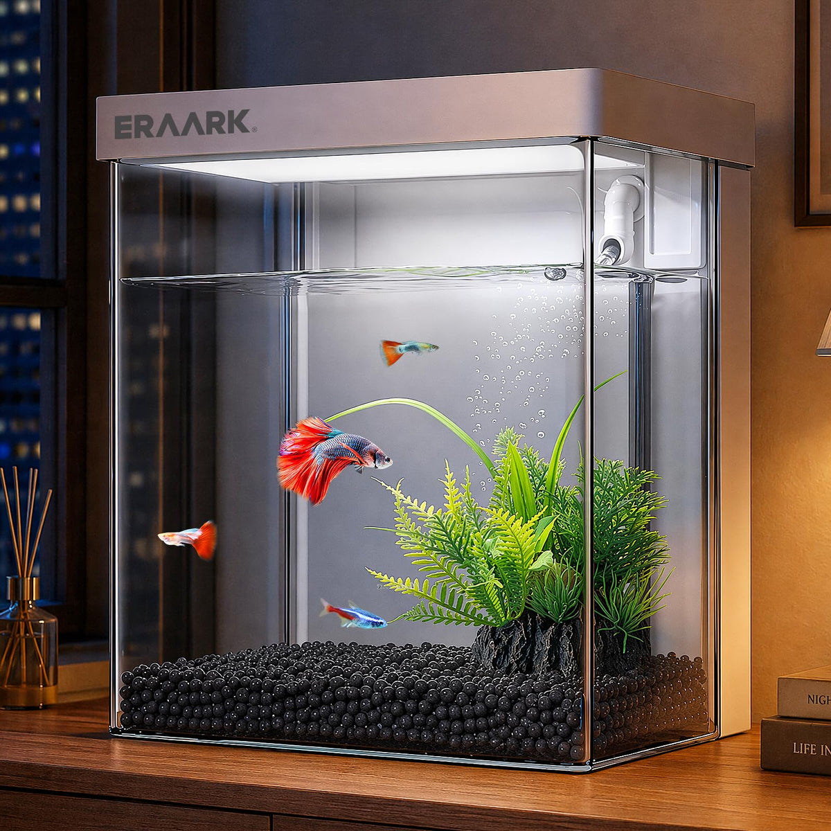 1.5 Gallon Aquarium Kit with Filter and LED Light S96436