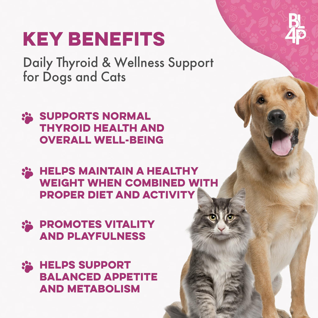 Weight Loss for Dogs 400 Pills J48388