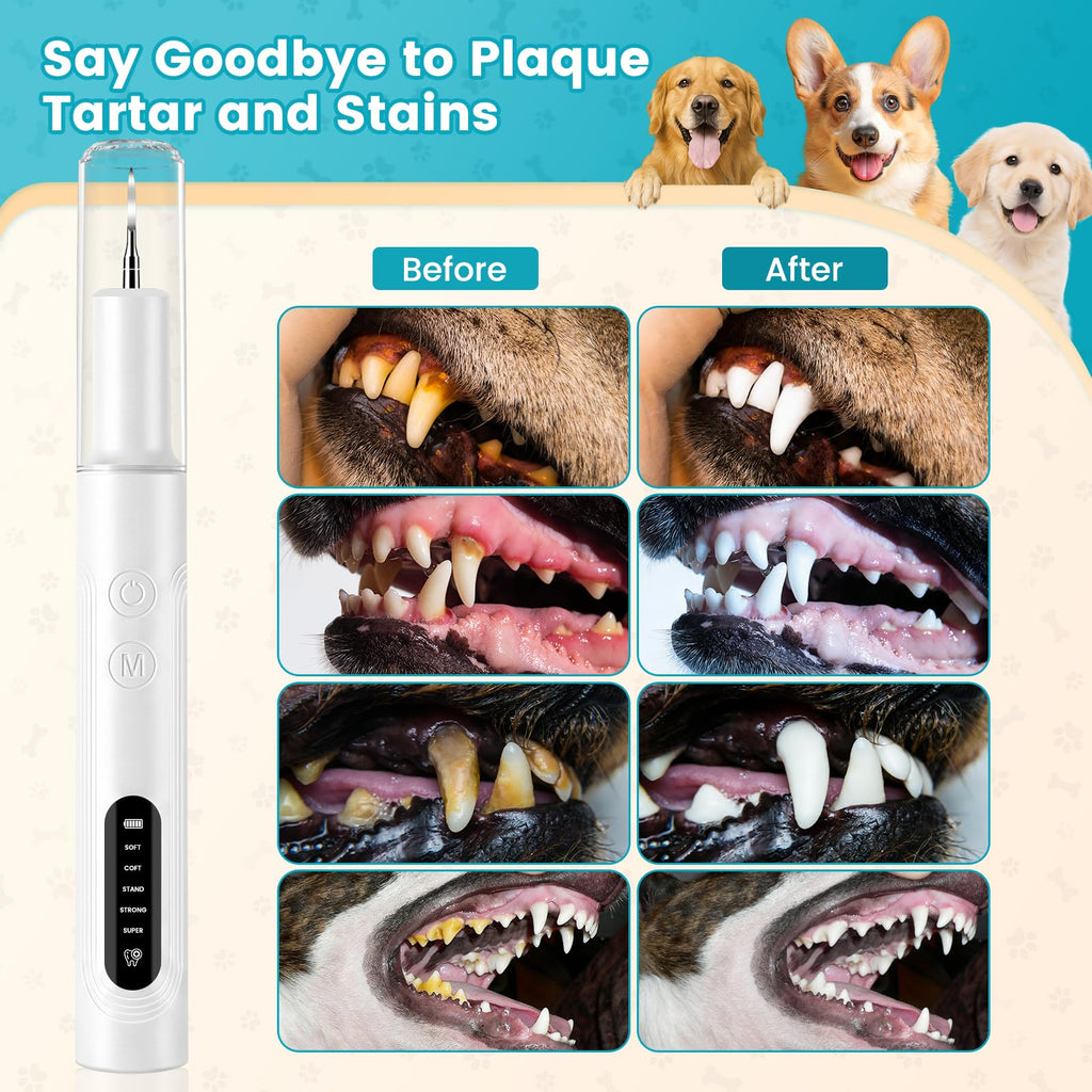 Dog Ultrasonic Tooth Cleaner with LED Light N18537