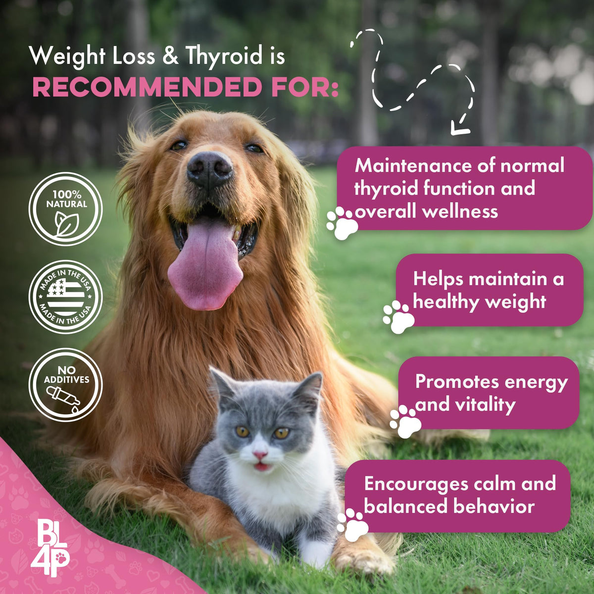 Weight Loss for Dogs 400 Pills J48388