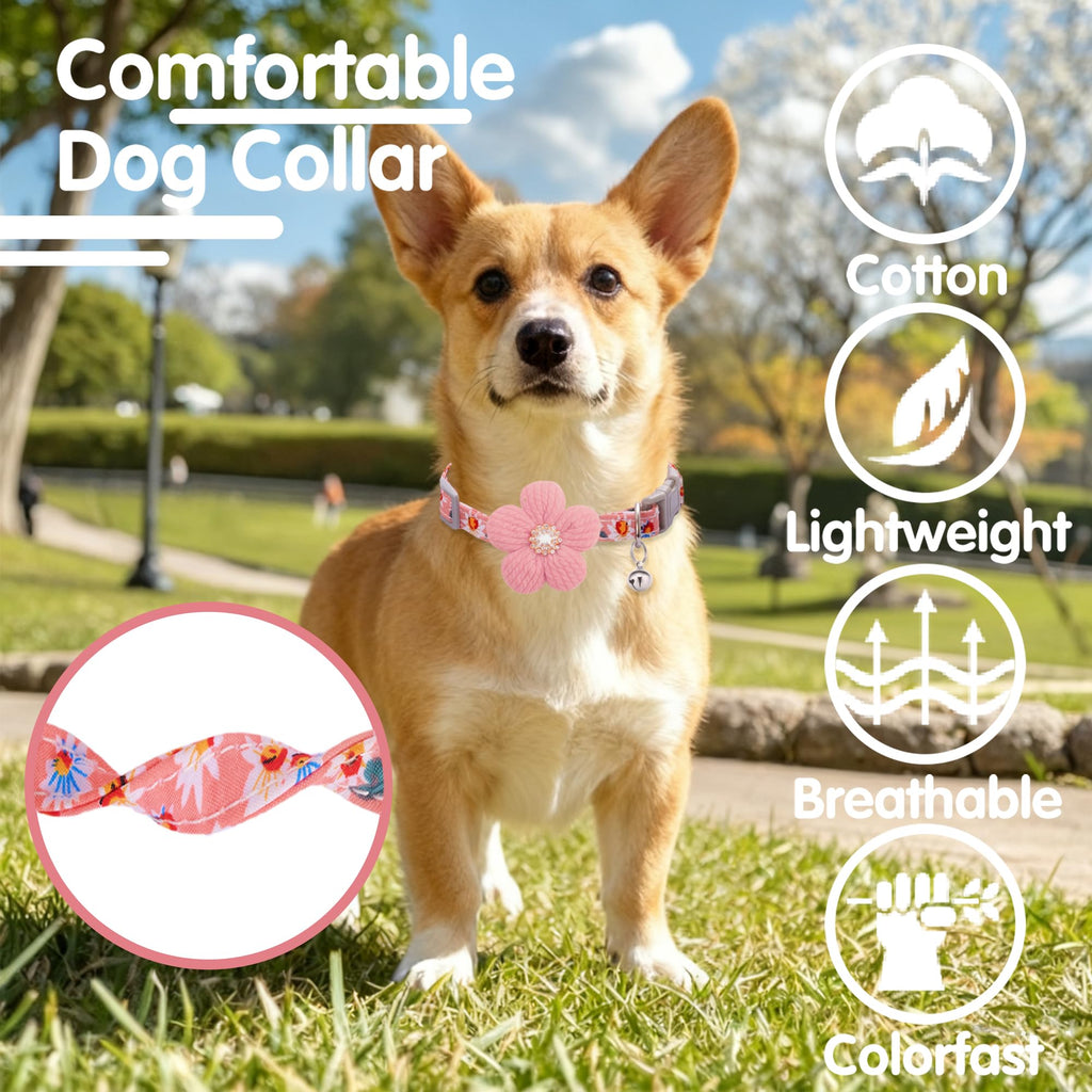 Small Dog Collar with Flower and Bell F319