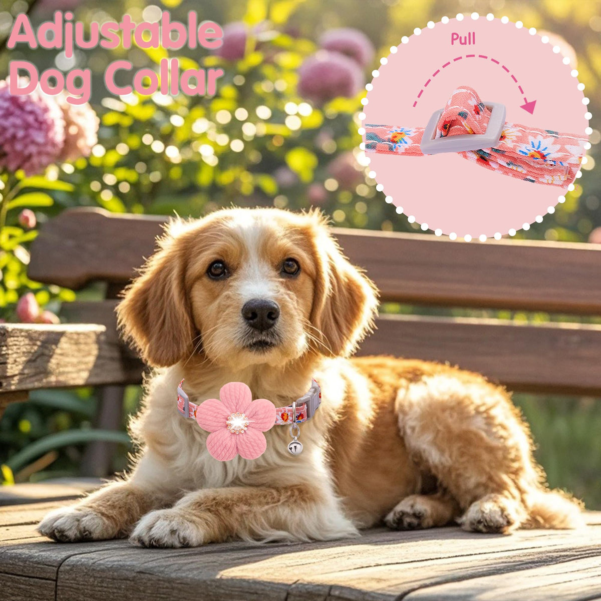 Small Dog Collar with Flower and Bell F319
