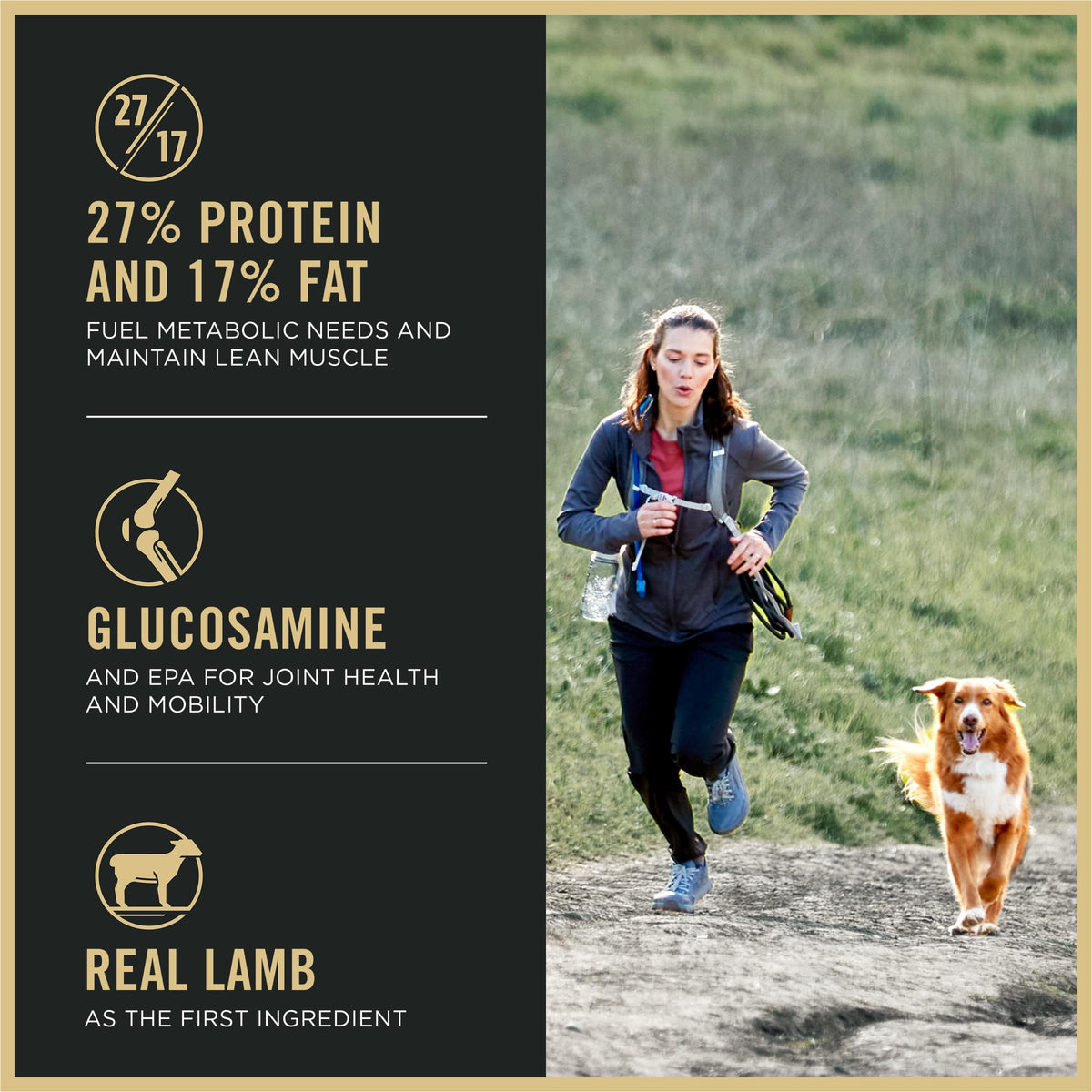 High Protein Small Bites Lamb & Rice Dog Food 37.5 Pound C15086