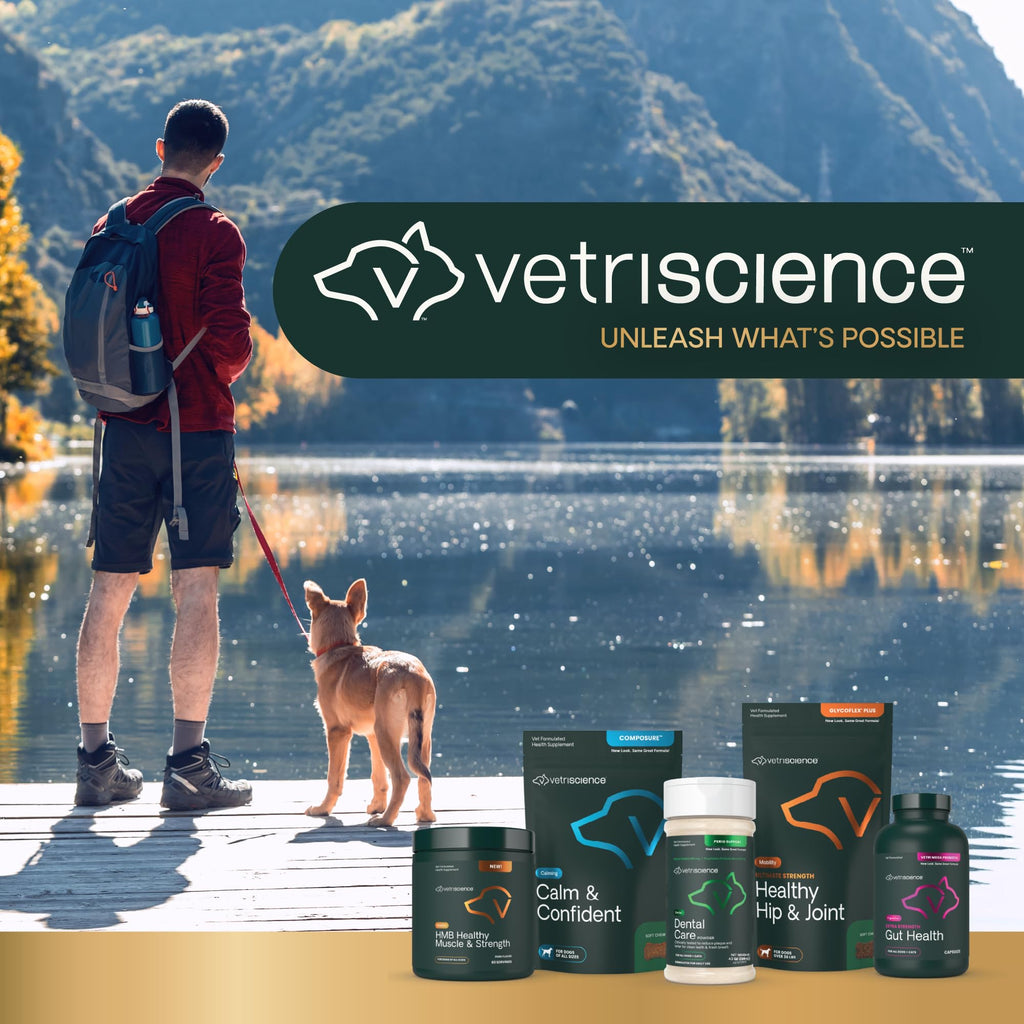 Chicken Dental Care Chews for Cats, 60 Count P33022