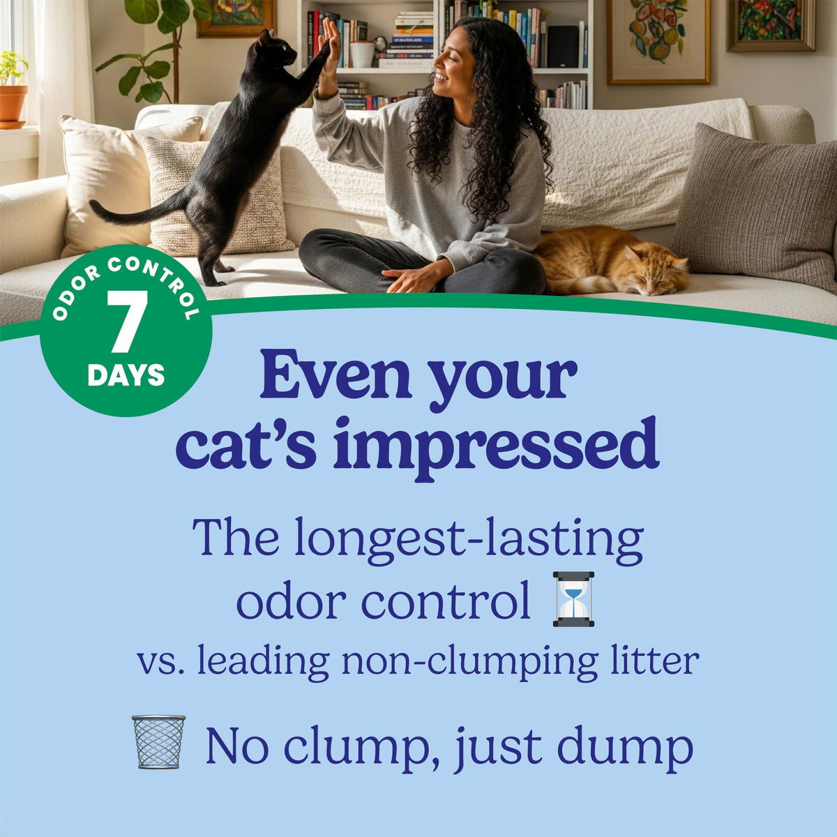 Non-Clumping Cat Litter with Odor Control, 35 lb. Bag C928236