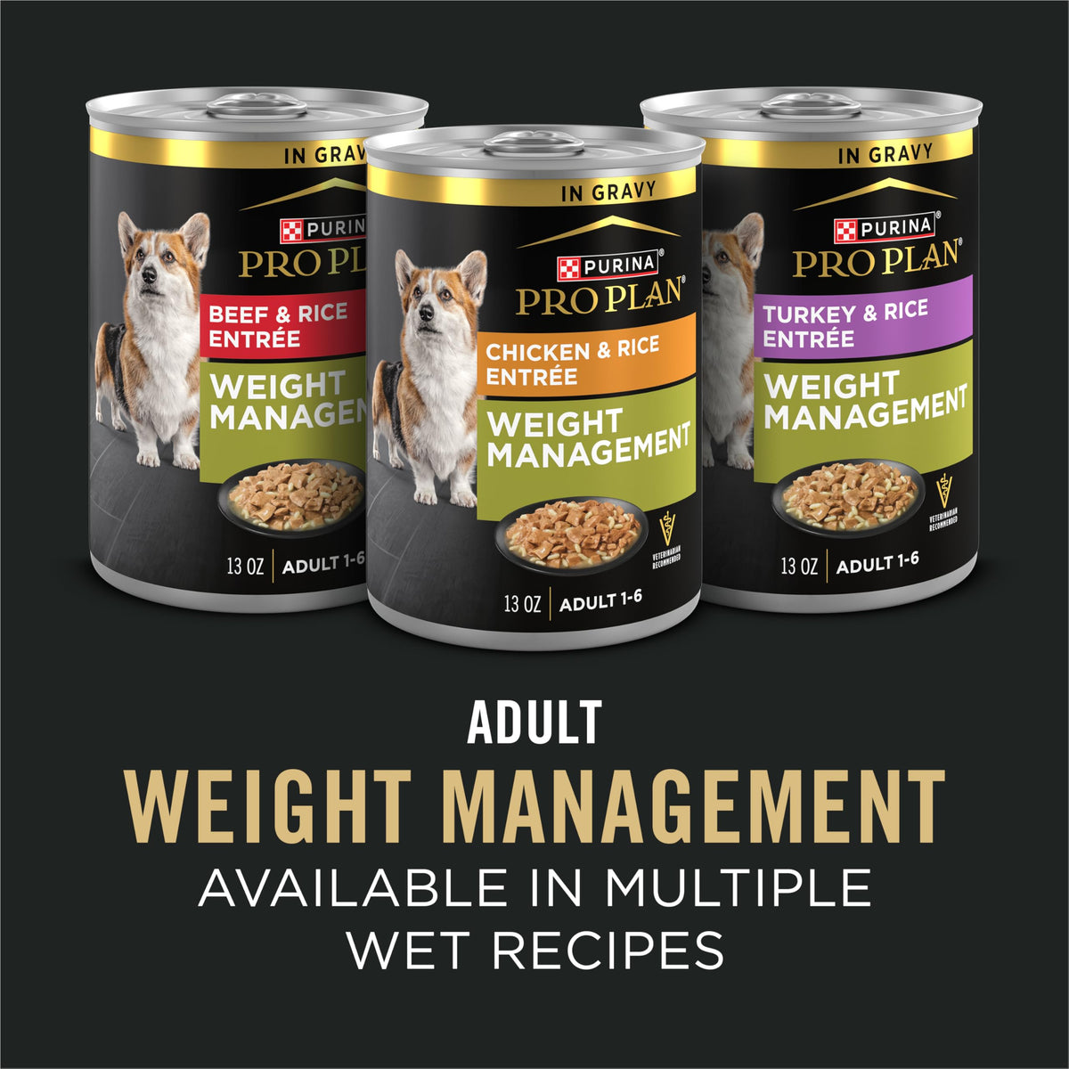 Adult Weight Management Dry Dog Food Chicken 6 lb K833006