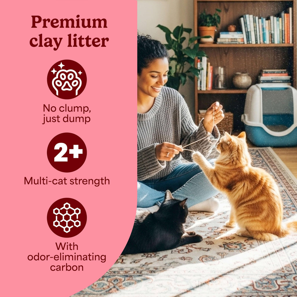 Non-Clumping Cat Litter with Odor Control, 35 lb. Bag C928236