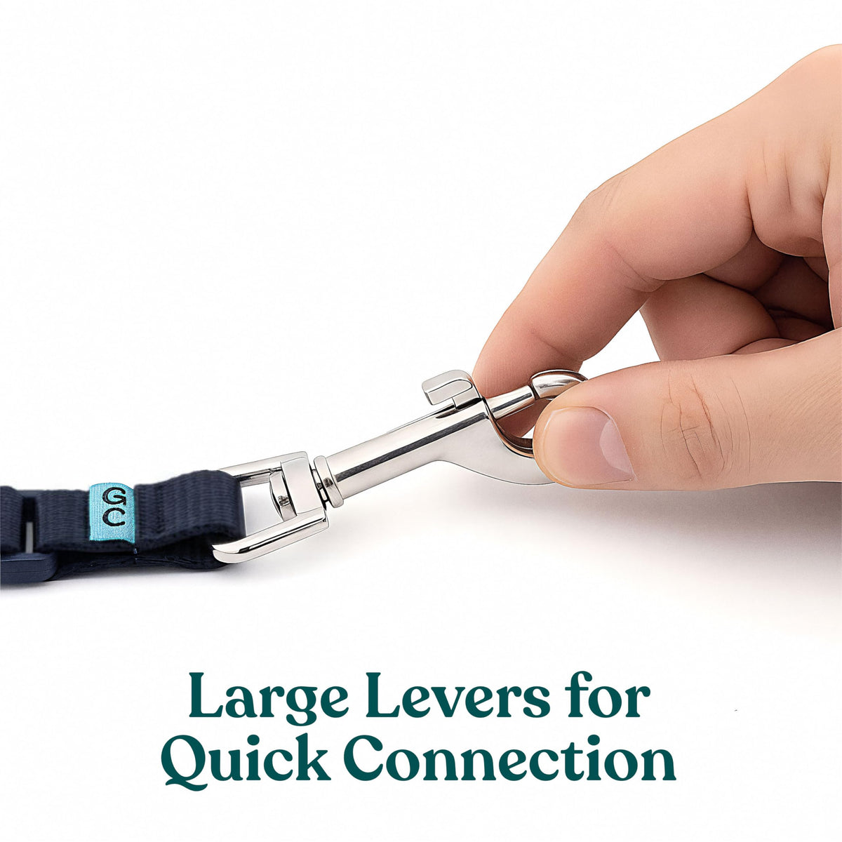 Adjustable Dog Safety Backup Clip Q3142