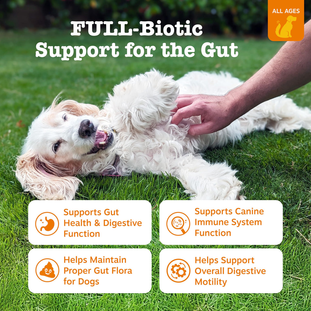 Probiotics for Dogs Chicken 90ct Z51461