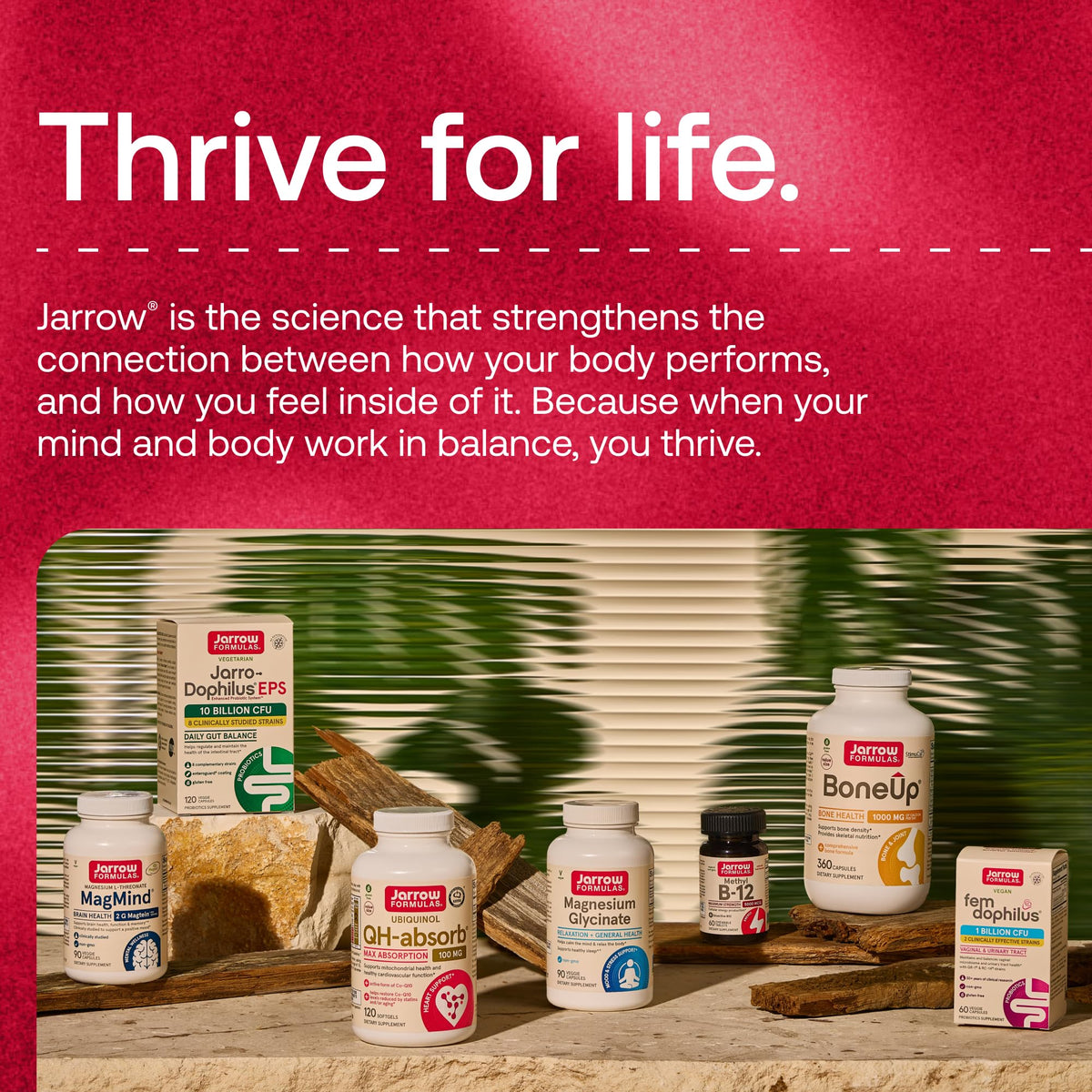 Milk Thistle 150mg 200 Capsules S619